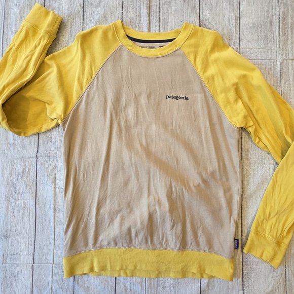 Patagonia Men's Size Small Two Tone Crewneck Sweatshirt Organic Cotton Logo - Picture 1 of 7